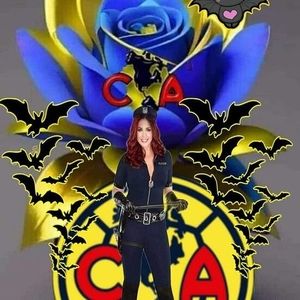 Meet your Posher, Pedro